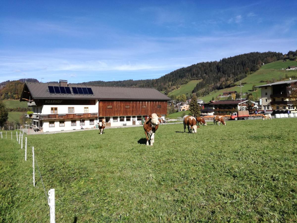 Moarhof Appartements Niederau Kültér fotó